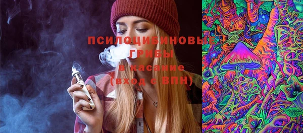 гидра Майский