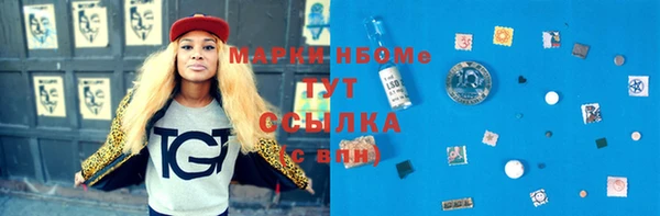 гидра Майский
