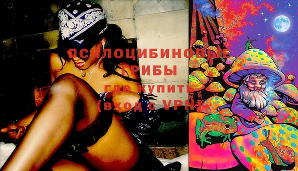 гашик Липки