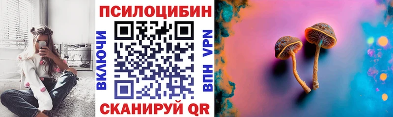 Псилоцибиновые грибы прущие грибы  Мглин 